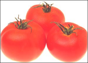 Tomato.jpg