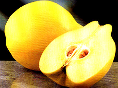 File:Quince.jpg